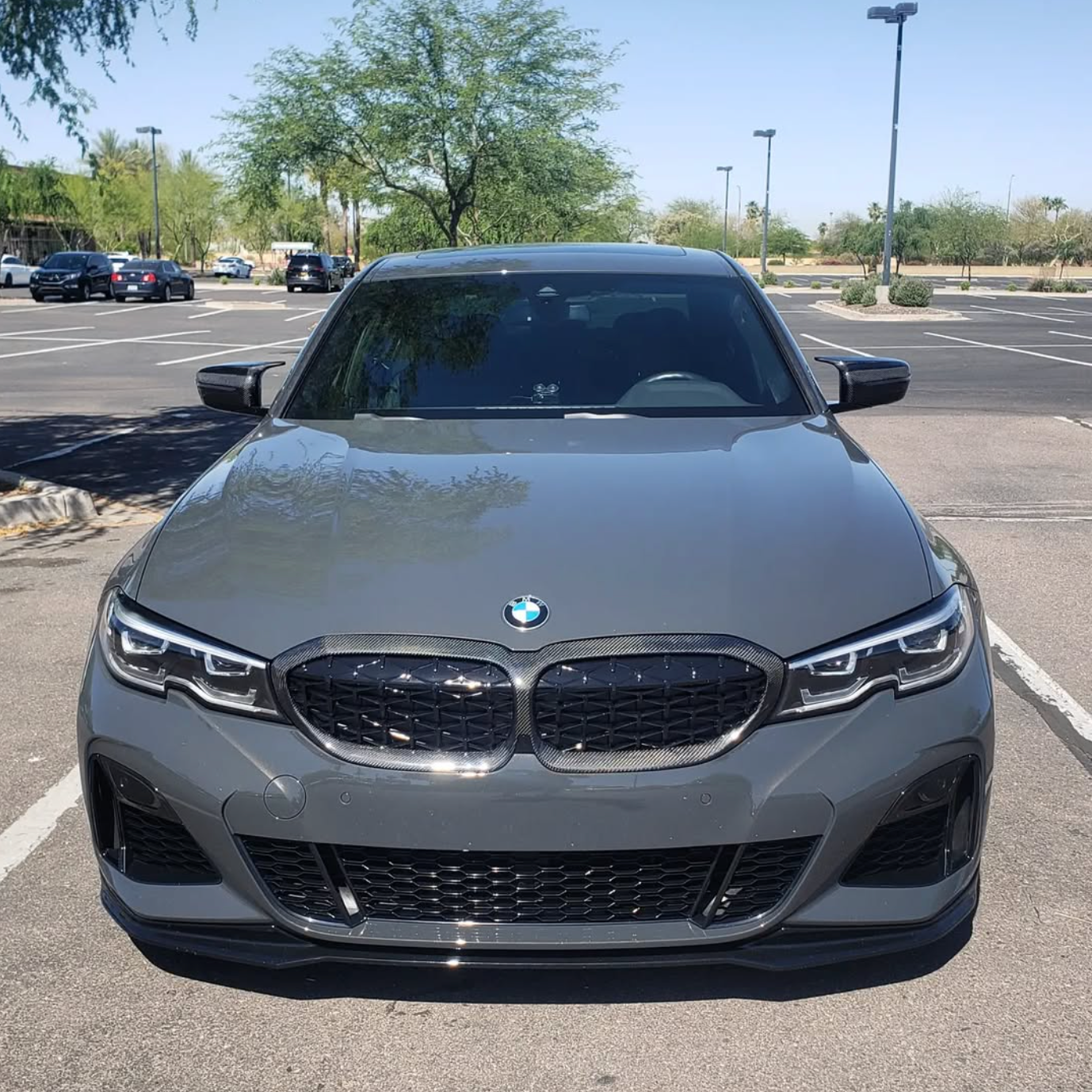BMW 3 Series G20/G21 Pre-LCI Carbon Fibre Diamond Grill (2019-2022)