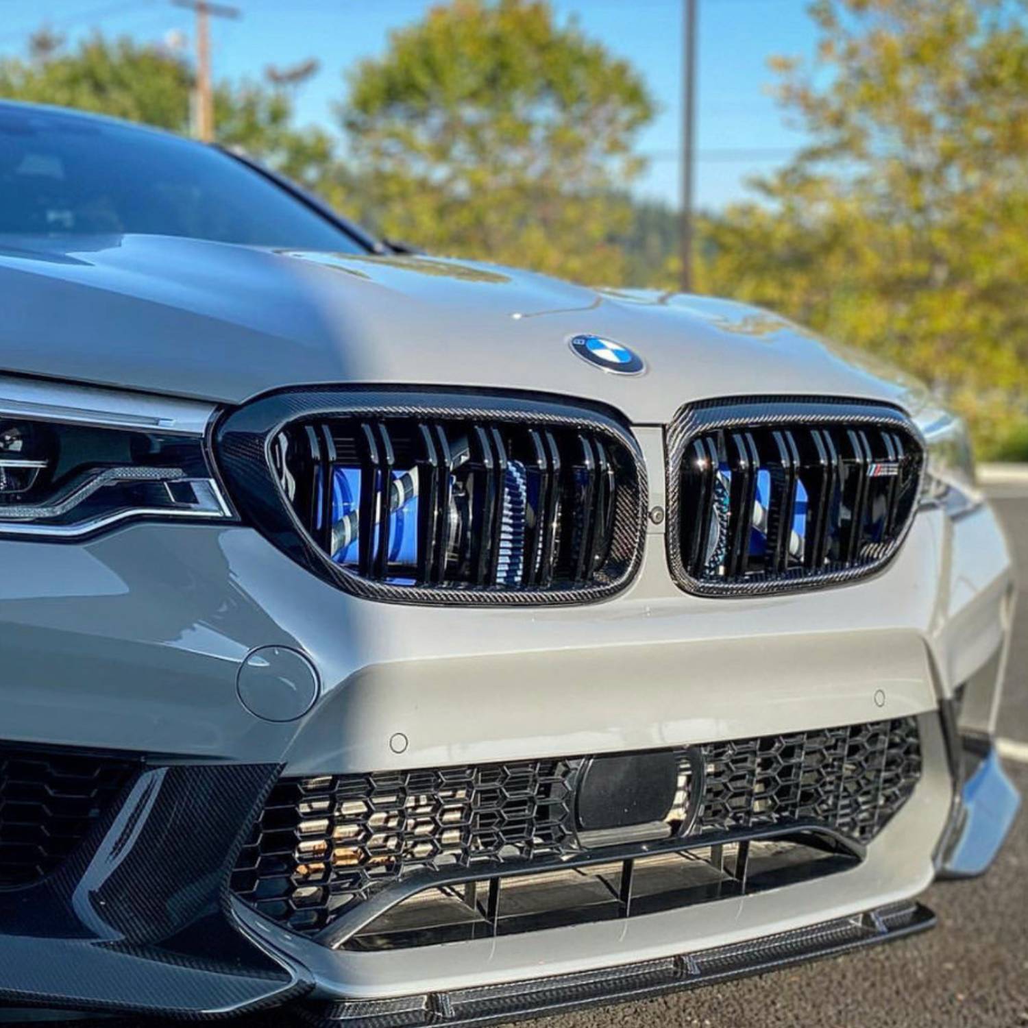 BMW 5 Series G30 & M5 F90 Carbon Fibre Double Slat Grill (2017-2020)
